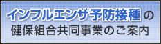 �C���t���G���U�\�h�ڎ�̌��ۑg���������Ƃ̂��ē�