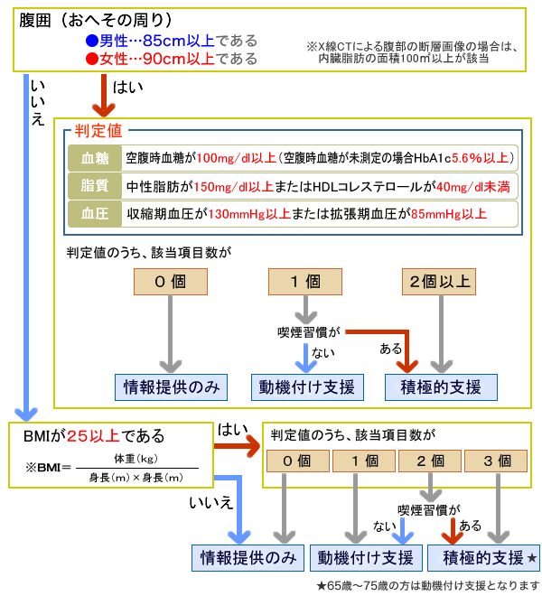 特定保健指導対象者の階層分け